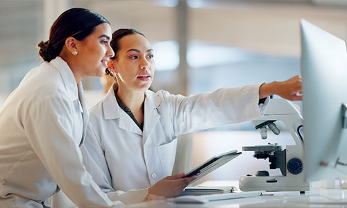 HR File Audit Tools